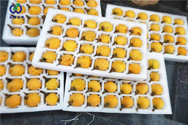 什麽樣的枇杷托包裝才是合適的